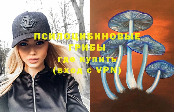 МДПВ Братск