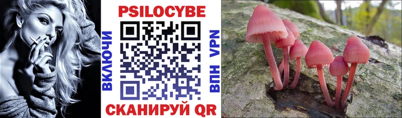 blacksprut   Бодайбо  Галлюциногенные грибы прущие грибы 