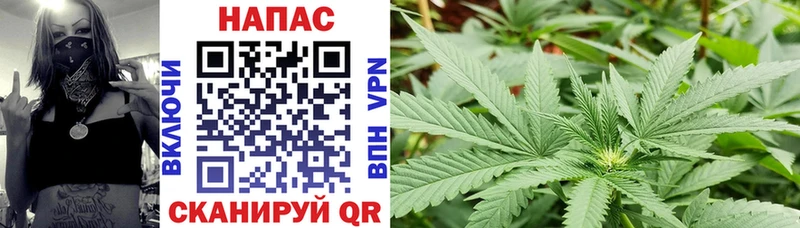 это телеграм  Бодайбо  Бошки Шишки LSD WEED 